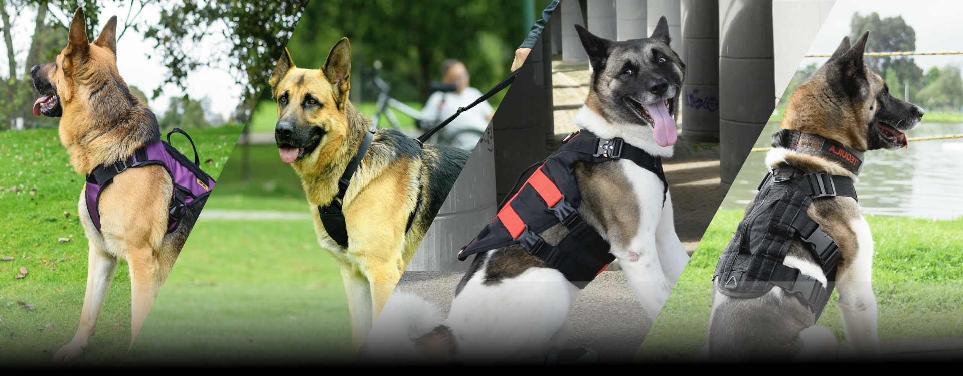 Promoción Destacada