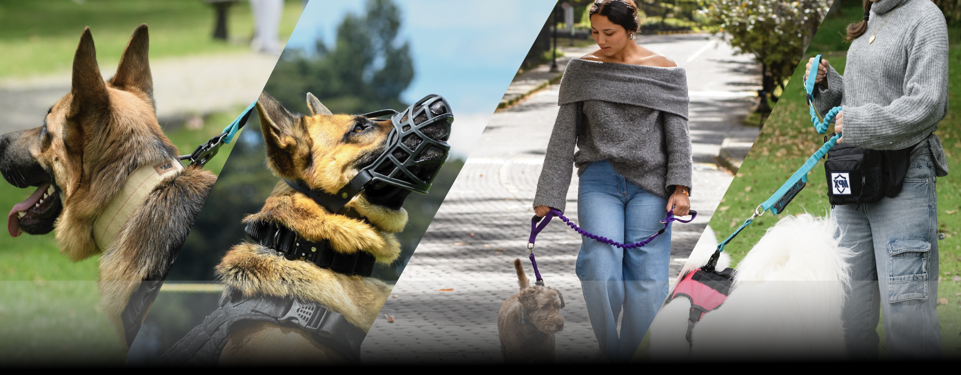 Promoción Destacada